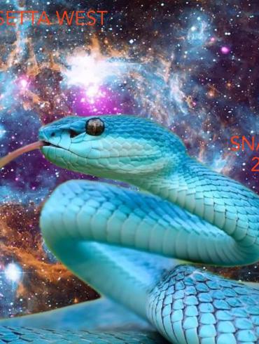 Rosetta West's Snake 25